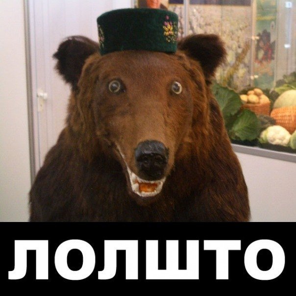 Цитаты про веру в то что все будет хорошо Цитаты про веру в то что все будет хорошо