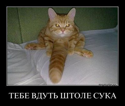 что ответить когда тебя обзываю шлюхой что ответить когда тебя обзываю шлюхой