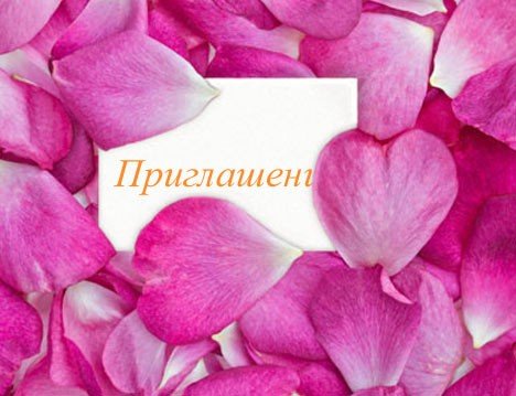 http://s.pikabu.ru/images/big_size_comm/2012-08_6/13461665655908.jpg