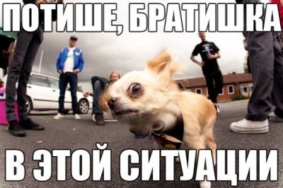 Сексуальные забавы питерских телок на дикой природе