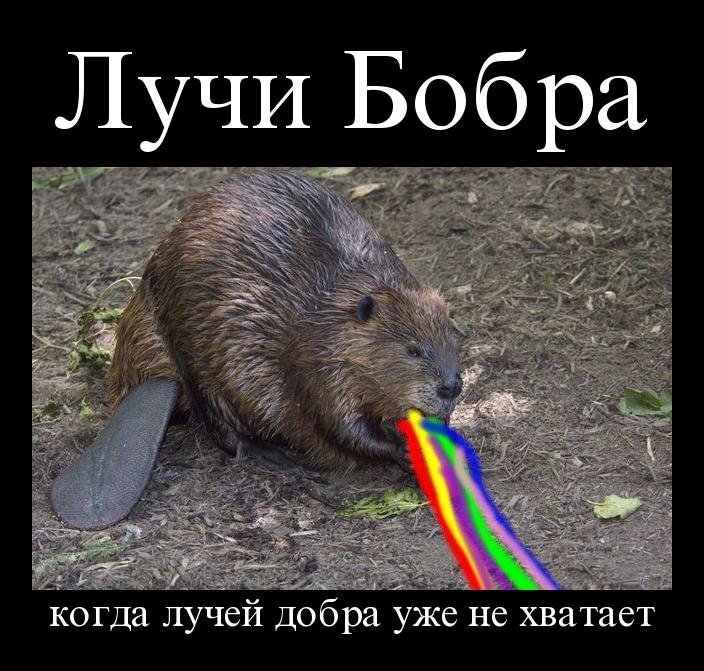 Форум по теме: О старчестве Форум по теме: О старчестве