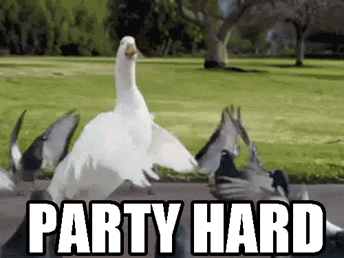 13483839023875.gif