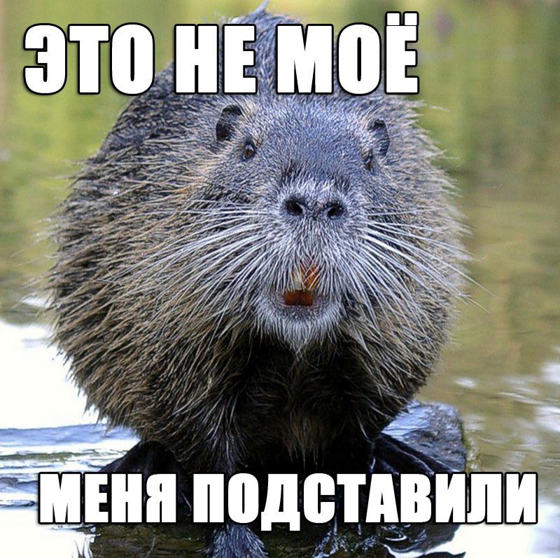13504007221054.jpg