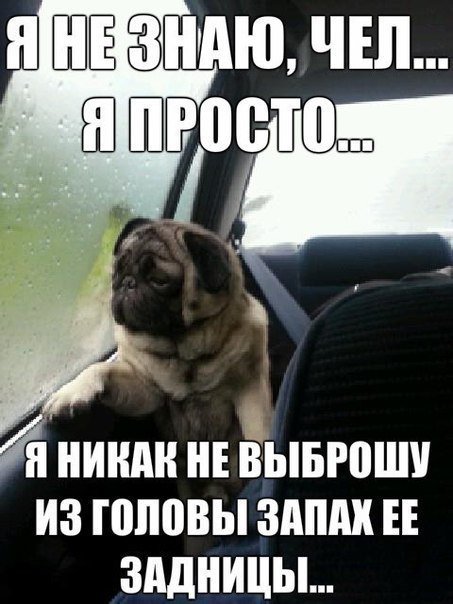 http://s.pikabu.ru/images/big_size_comm/2012-10_6/13512490879629.jpg