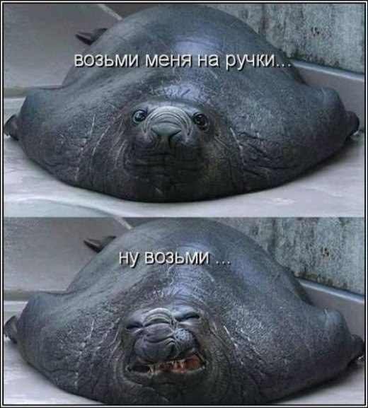 песня улыбайся на английском слушать песня улыбайся на английском слушать