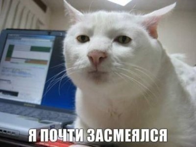 13525849086470.jpg