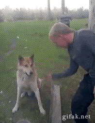 13528011116329.gif