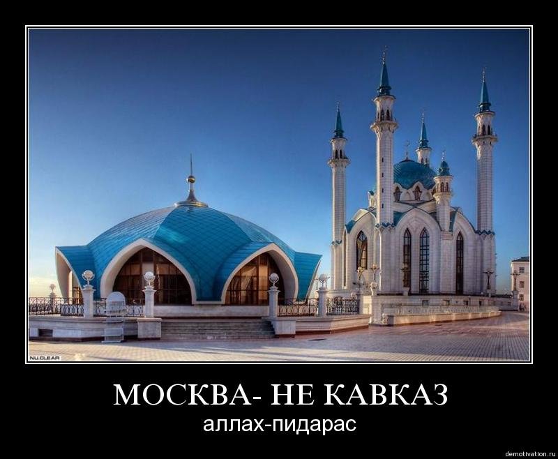 пижма и полынь от паразитов как принимать пижма и полынь от паразитов как принимать