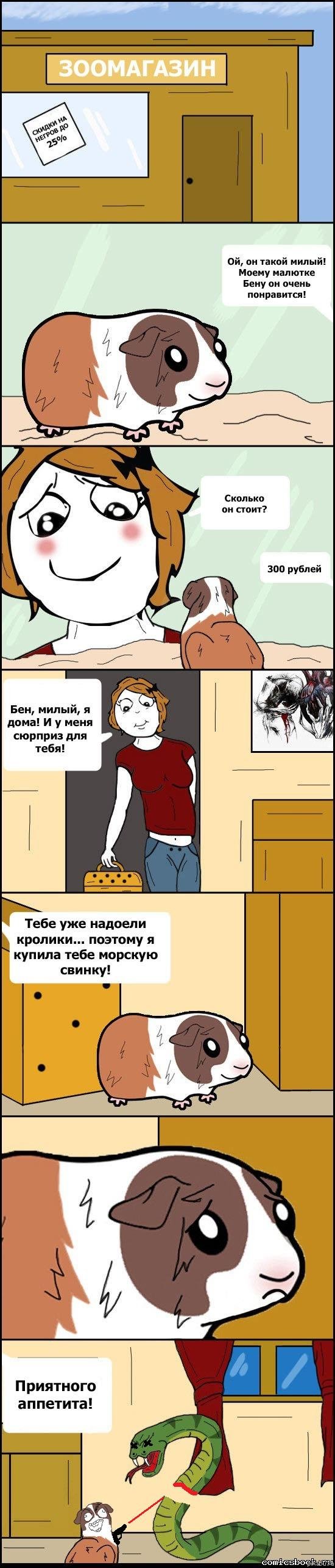 Утятница стеклянная что в ней готовить