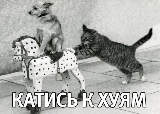 13565040657748.jpeg