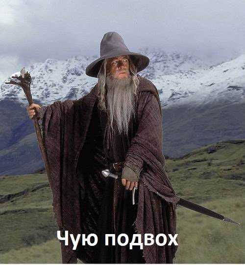 13597363013929.jpg