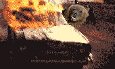 13637723522116.gif