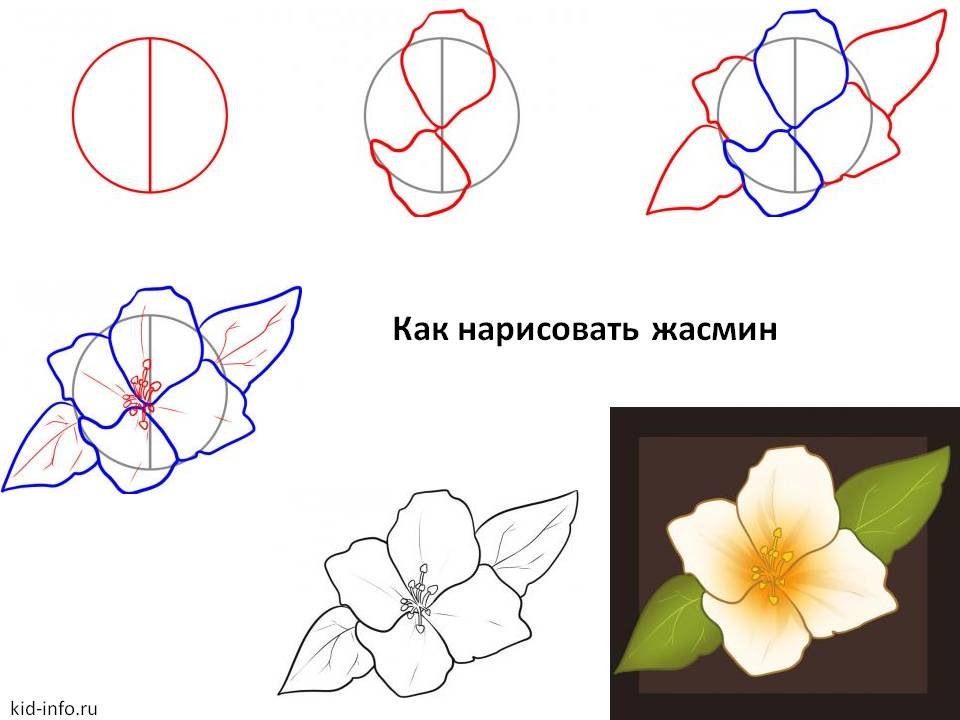 Нарисовать яблочко поэтапно Нарисовать яблочко поэтапно
