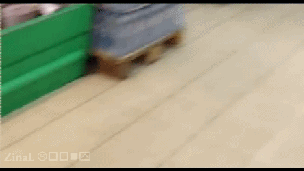 http://s.pikabu.ru/images/big_size_comm/2013-04_5/13667036617054.gif