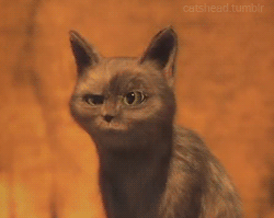 [Зображення: 13675890106226.gif]