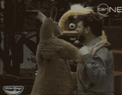 1369972350332.gif