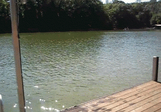 http://s.pikabu.ru/images/big_size_comm/2013-05_7/13700262379825.gif