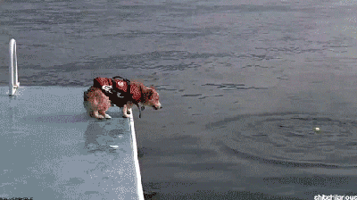 http://s.pikabu.ru/images/big_size_comm/2013-05_7/1370026902543.gif