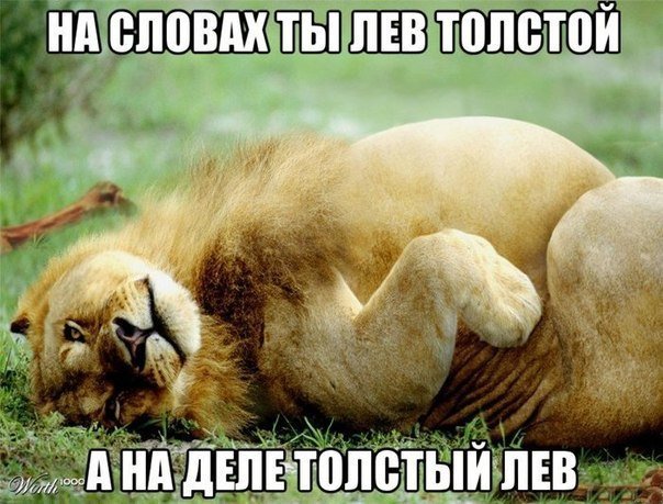 на словах ты Лев Толстой, а на деле хуесос