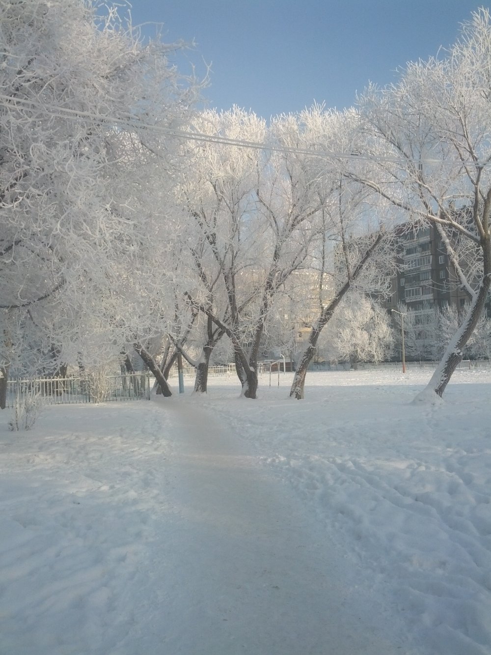 Женские зимние куртки стоимость
