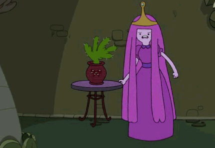 13873945259524.gif