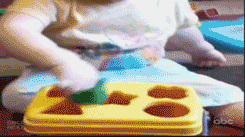 13911837353683.gif