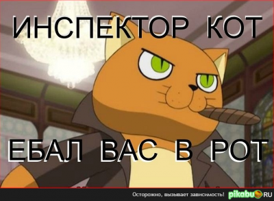 Инспектор кот