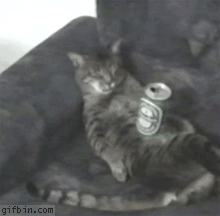 13295798153514.gif