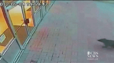 Опубликованное фото