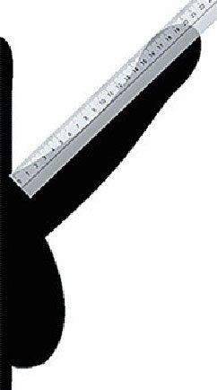 Как измерить длину пениса. как измерить длину как правильно дрочить для уве