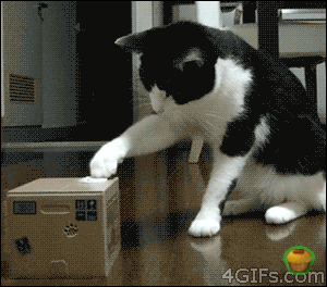 http://s.pikabu.ru/post_img/2012-12_5/1356060295_1760000.gif