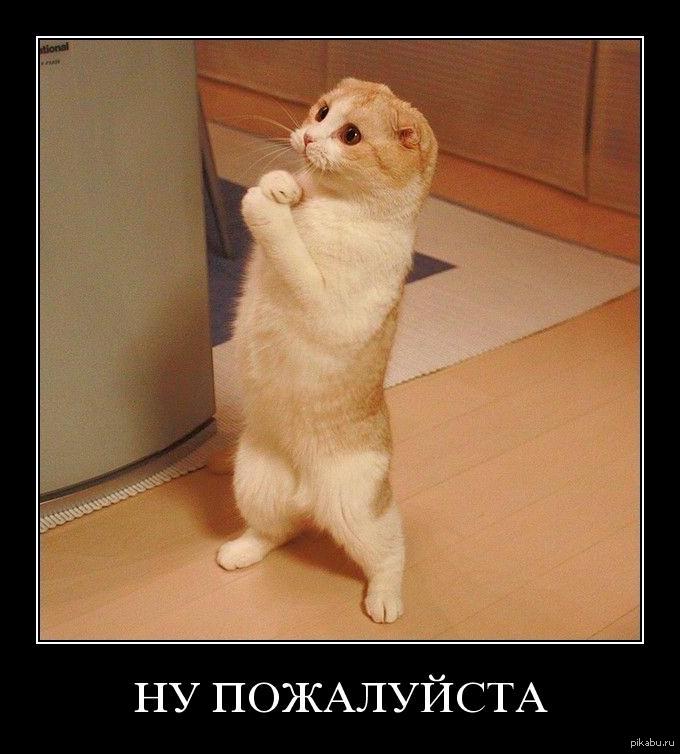 Опубликованное фото