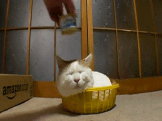 1356777121_763388157.gif