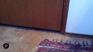 1357135638_1818413322.gif