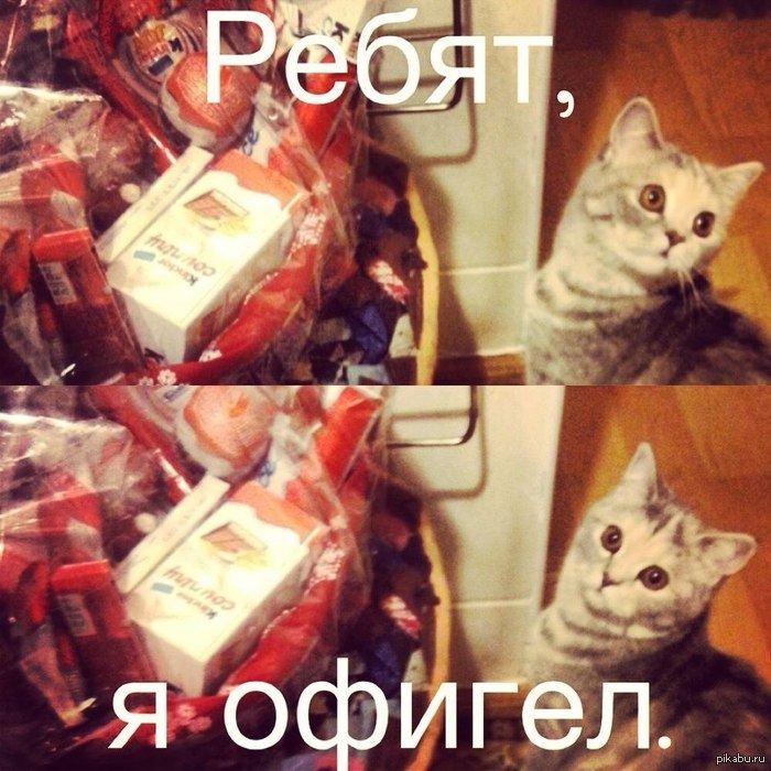 http://s.pikabu.ru/post_img/2013-01_2/1357837077_926281207.jpg