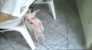 http://s.pikabu.ru/post_img/2013-01_4/1358464838_694028215.gif