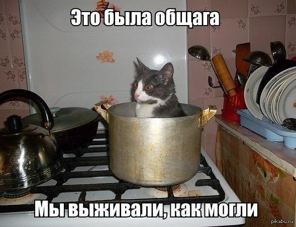 Картинки по запросу общага