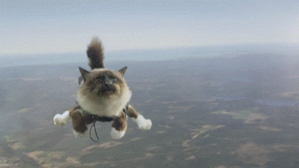 http://s.pikabu.ru/post_img/2013/01/25/9/1359121362_1234207545.gif