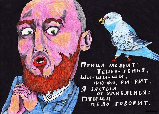 http://s.pikabu.ru/post_img/2013/01/31/10/1359648067_204738237.jpg