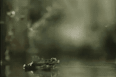 http://s.pikabu.ru/post_img/2013/02/06/9/1360158606_889694588.gif