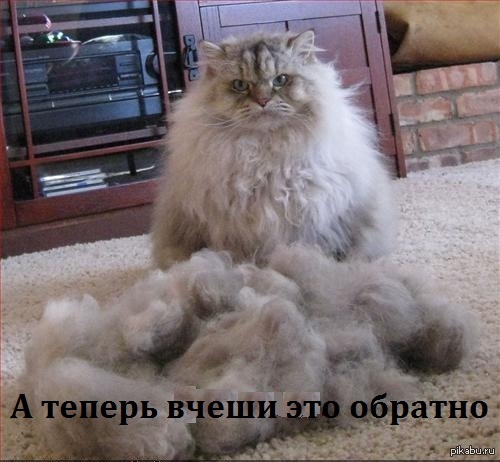 Посмеялся сам - поделись с другом!!!