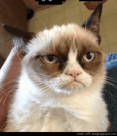 1360688041_1930338918.gif