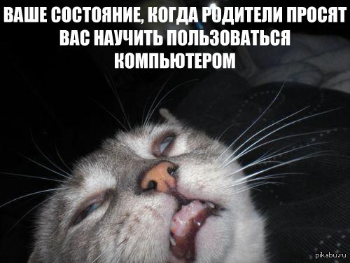 http://s.pikabu.ru/post_img/2013/02/16/11/1361034854_250680541.jpg