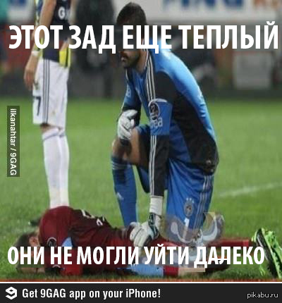 Обзор Трибуны