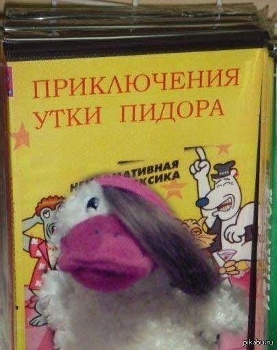 http://s.pikabu.ru/post_img/2013/02/19/9/1361285178_1774925428.jpg