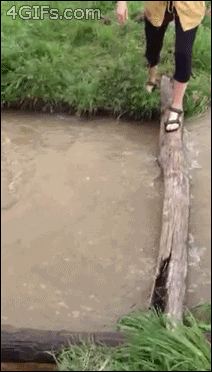 http://s.pikabu.ru/post_img/2013/02/21/5/1361426170_1649629925.gif
