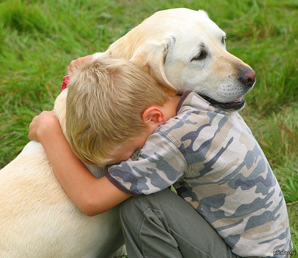 essay-on-animals-best-friends-animal-society