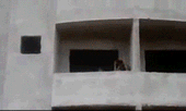 http://s.pikabu.ru/post_img/2013/02/26/10/1361891262_572027682.gif