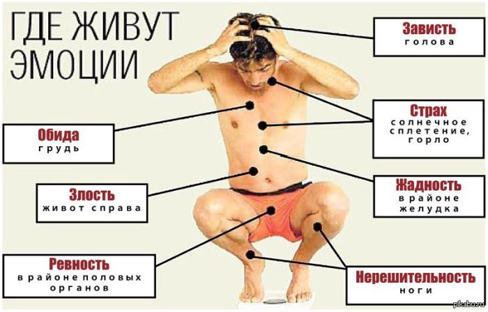 Почему я живу в этом теле Почему я живу в этом теле