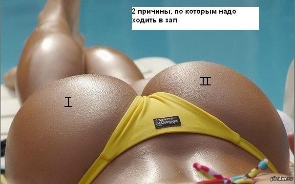 http://s.pikabu.ru/post_img/2013/02/27/10/1361982618_849359564.jpg